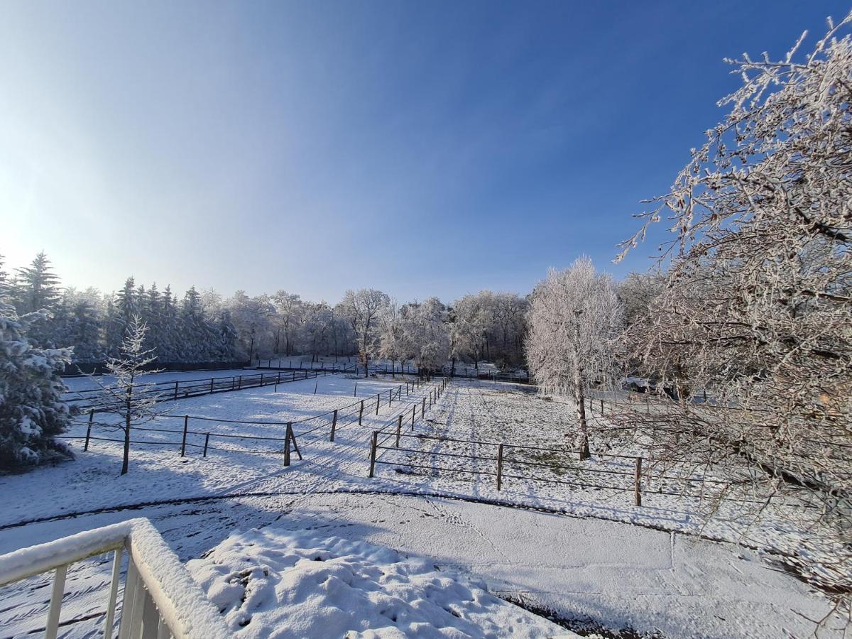 Repos Rouge-Plaisir Au Milieu Des Chevaux Daire Kembs Dış mekan fotoğraf
